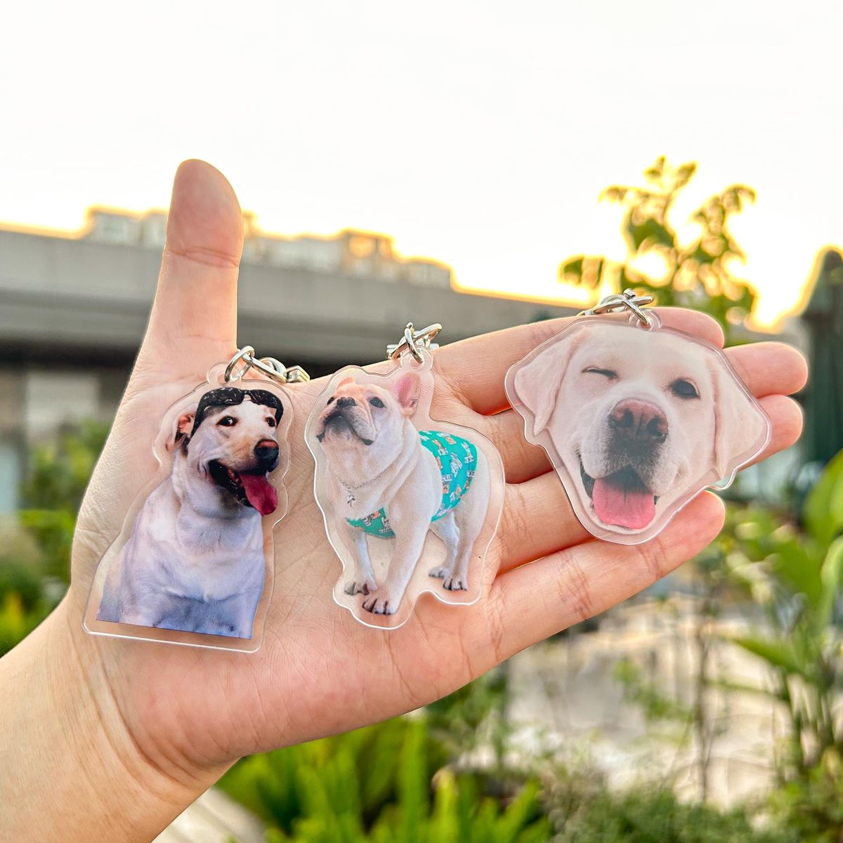 Personalised Pet Photo Acrylic Keychain